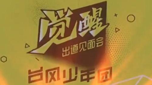 台风演唱会爆料新闻稿,精彩瞬间与幕后故事大揭秘  第2张